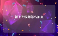 新飞飞牧师怎么加点