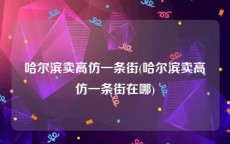 哈尔滨卖高仿一条街(哈尔滨卖高仿一条街在哪)