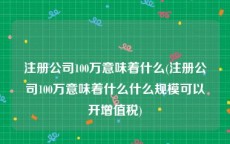 注册公司100万意味着什么(注册公司100万意味着什么什么规模可以开增值税)
