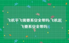 飞机平飞需要系安全带吗(飞机起飞要系安全带吗)