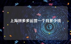 上海拼多多运营一个月多少钱