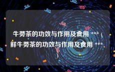 牛蒡茶的功效与作用及食用 *** (鲜牛蒡茶的功效与作用及食用 *** )