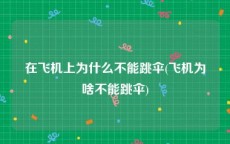 在飞机上为什么不能跳伞(飞机为啥不能跳伞)