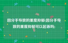 因分手导致的重度抑郁(因分手导致的重度抑郁可以起诉吗)