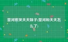 楚河惹哭天天妹子(楚河和天天怎么了)