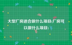 大型厂房适合做什么项目(厂房可以做什么项目)