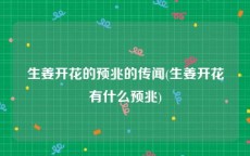 生姜开花的预兆的传闻(生姜开花有什么预兆)