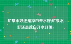 矿泉水好还是凉白开水好(矿泉水好还是凉白开水好呢)