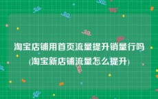 淘宝店铺用首页流量提升销量行吗(淘宝新店铺流量怎么提升)