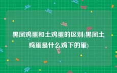 黑凤鸡蛋和土鸡蛋的区别(黑凤土鸡蛋是什么鸡下的蛋)