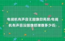 电视机有声音无图像但亮屏(电视机有声音没图像修理要多少钱)