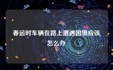 春运时车辆在路上遭遇困境应该怎么办