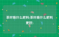 茶叶施什么肥料(茶叶施什么肥料更好)