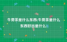 牛蒡茶是什么东西(牛蒡茶是什么东西好出是什么)