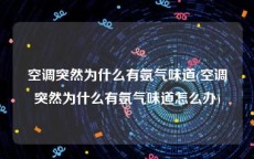 空调突然为什么有氨气味道(空调突然为什么有氨气味道怎么办)