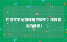 如何在家给猫咪进行驱虫？保障爱宠的健康！