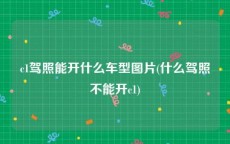 c1驾照能开什么车型图片(什么驾照不能开c1)