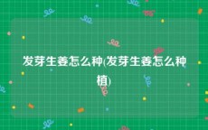 发芽生姜怎么种(发芽生姜怎么种植)