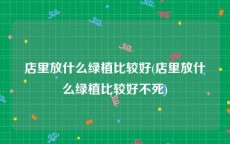 店里放什么绿植比较好(店里放什么绿植比较好不死)