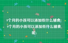 9个月的小孩可以添加些什么辅食(9个月的小孩可以添加些什么辅食呢)