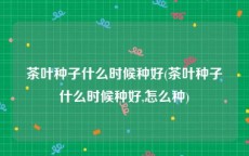 茶叶种子什么时候种好(茶叶种子什么时候种好,怎么种)
