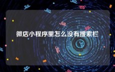 微店小程序里怎么没有搜索栏