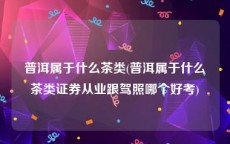 普洱属于什么茶类(普洱属于什么茶类证券从业跟驾照哪个好考)