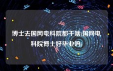 博士去国网电科院都干啥(国网电科院博士好毕业吗)