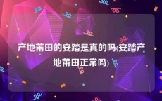 产地莆田的安踏是真的吗(安踏产地莆田正常吗)