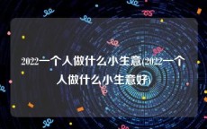 2022一个人做什么小生意(2022一个人做什么小生意好)