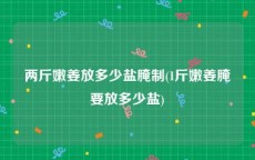 两斤嫩姜放多少盐腌制(1斤嫩姜腌要放多少盐)