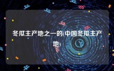 冬瓜主产地之一的(中国冬瓜主产地)