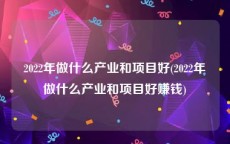 2022年做什么产业和项目好(2022年做什么产业和项目好赚钱)