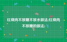 红烧肉不放糖不放水做法(红烧肉不放糖的做法)