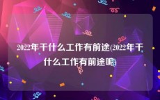 2022年干什么工作有前途(2022年干什么工作有前途呢)