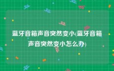 蓝牙音箱声音突然变小(蓝牙音箱声音突然变小怎么办)