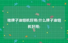 啥牌子油烟机好用(什么牌子油烟机好用)