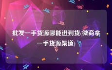 批发一手货源哪能进到货(微商拿一手货源渠道)