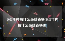2022年种植什么最赚钱快(2022年种植什么最赚钱快呢)