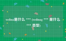 wcdma是什么 *** (wcdmag *** 是什么 *** 类型)