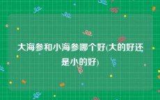 大海参和小海参哪个好(大的好还是小的好)
