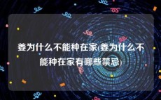 姜为什么不能种在家(姜为什么不能种在家有哪些禁忌)