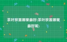 茶叶放置哪里最好(茶叶放置哪里最好呢)