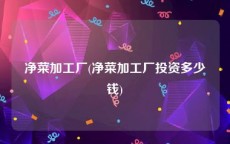 净菜加工厂(净菜加工厂投资多少钱)