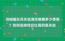 羽绒服在洗衣店清洗需要多少费用？如何选择性价比高的洗衣店