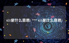 651是什么意思( *** 651是什么意思)