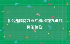 什么是桂花九曲红梅(桂花九曲红梅茶价位)