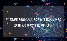年检到7月是7月31号吗(年检6月30号到期6月29号年检可以吗)