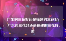 广东的兰花好还是福建的兰花好(广东的兰花好还是福建的兰花好呢)
