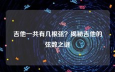 吉他一共有几根弦？揭秘吉他的弦数之谜